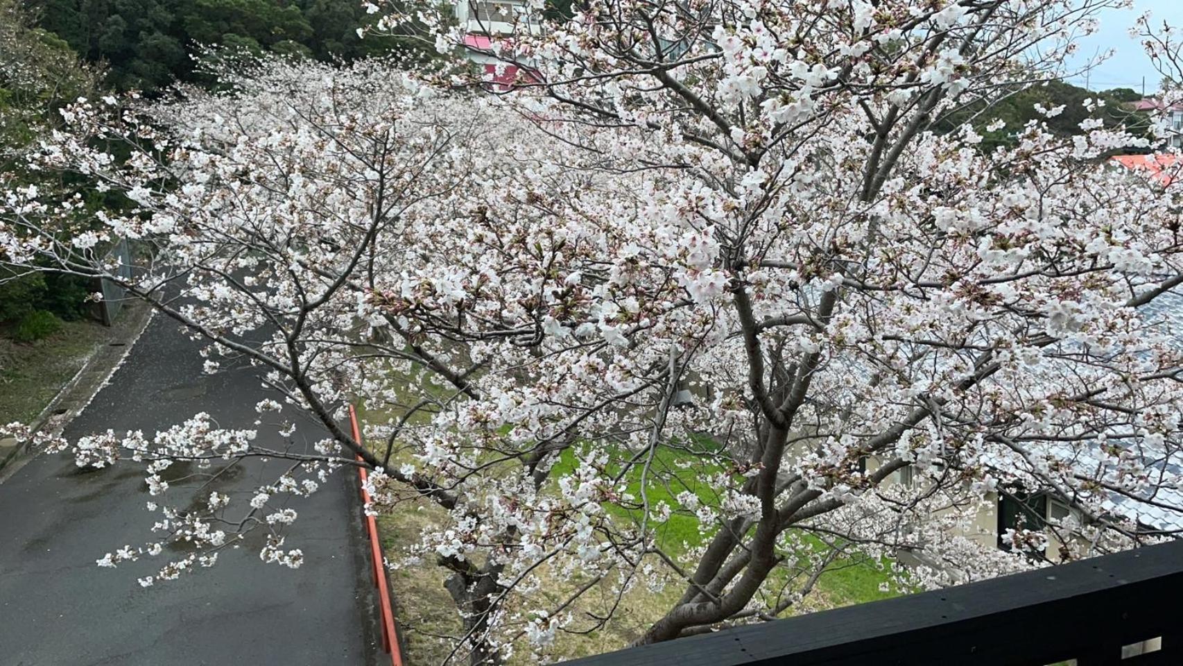 Shirahama Meiji Villa ภายนอก รูปภาพ